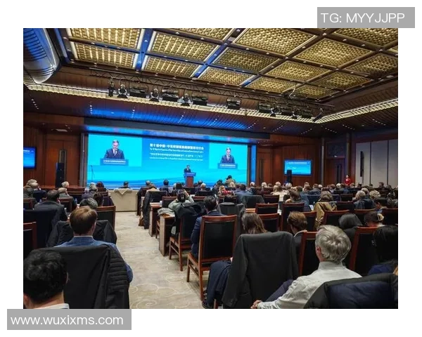 2008年中国与美国央视直播盛况回顾与精彩瞬间分析